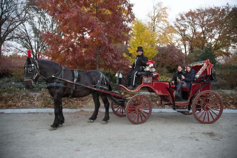 New York City: Central Park Horse Carriage 55-min Ride - The Cost-Value Perspective