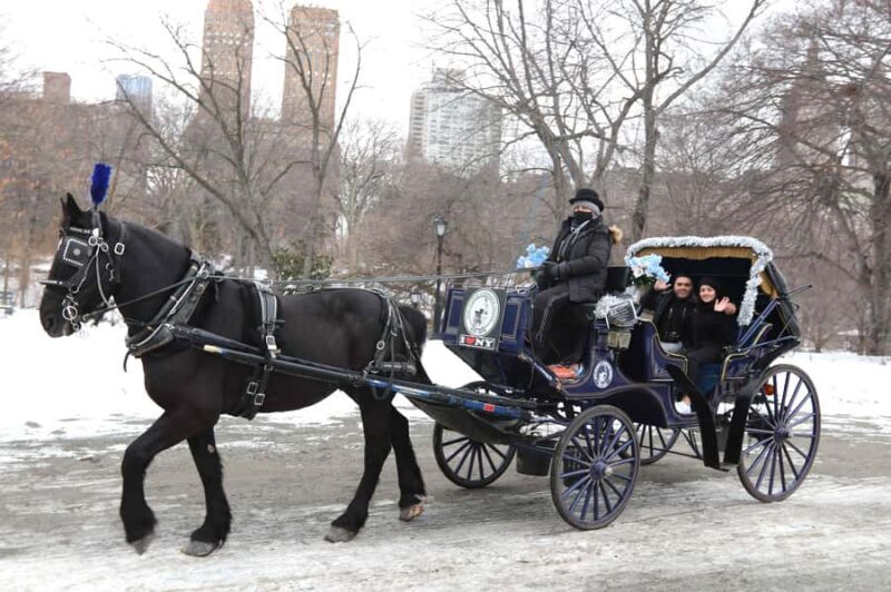 New York City: Central Park Horse Carriage 55-min Ride - The Sum Up: Is It Worth It?
