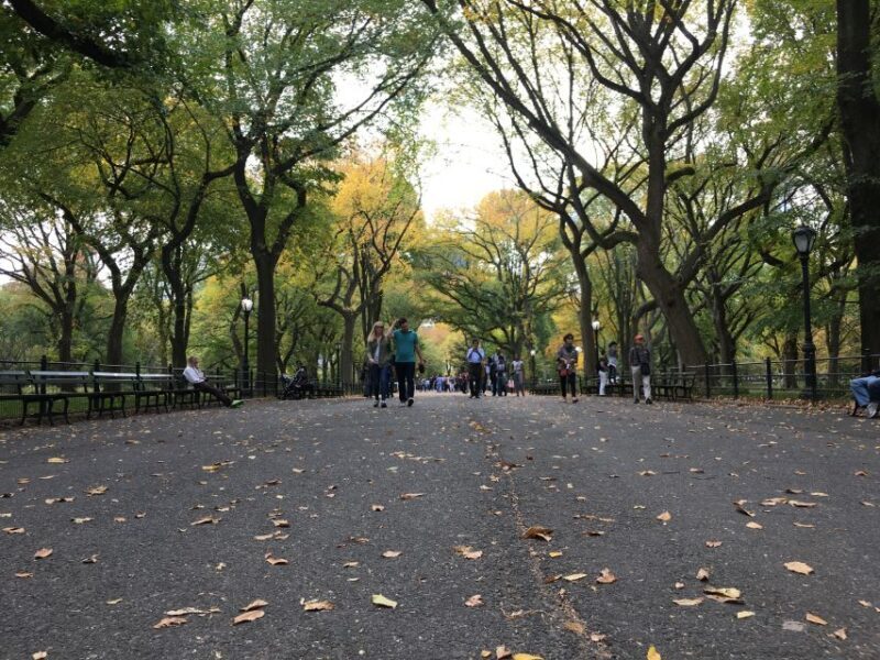 New York City: Central Park Tour by Pedicab - The Practicalities