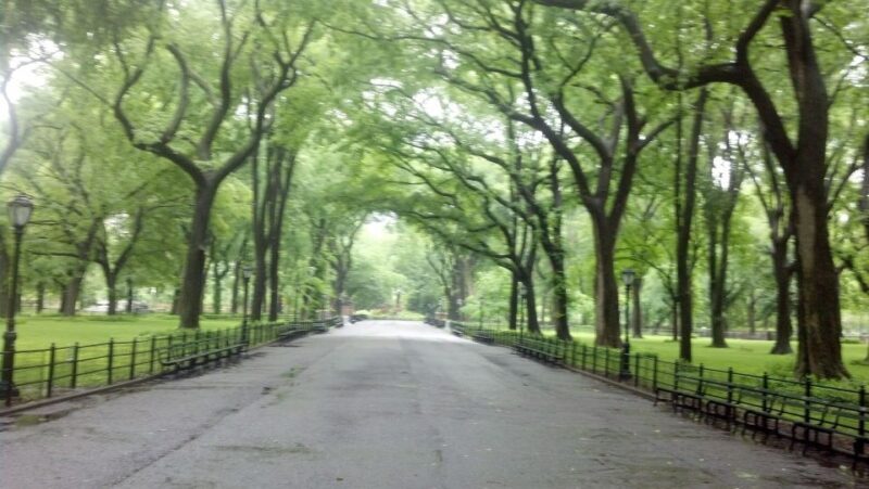 New York City: Central Park Walking Tour - Final Thoughts
