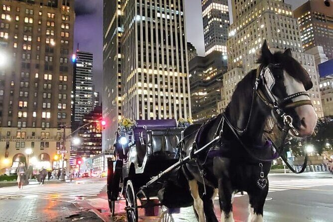 New York City Christmas Lights Private Horse Carriage Ride - Who Would Appreciate This Tour?