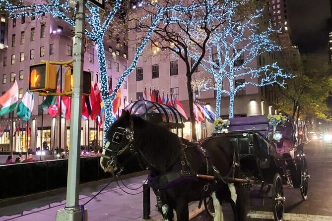 New York City Christmas Lights Private Horse Carriage Ride - FAQs