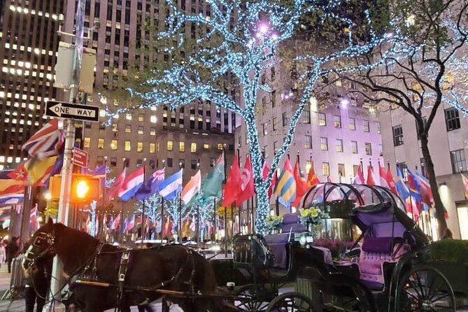 New York City Christmas Lights Private Horse Carriage Ride - Final Thoughts