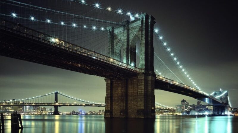 New York City: Dyker Heights Christmas Lights Tour - Exploring the Dyker Heights Christmas Lights Tour in New York City