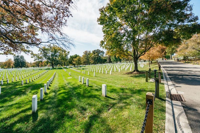 New York City: Full-Day Washington DC City Highlights Tour - Lincoln Memorial plus Korean and Vietnam War memorials: reflection time