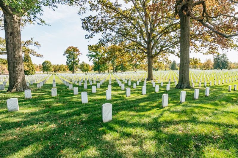 New York City: Full-Day Washington DC City Highlights Tour - Late-day bus tour and the Washington Monument pass-by