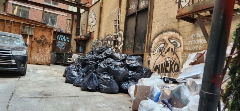 New York City: Garbage and Rats Walking Tour - Key Points