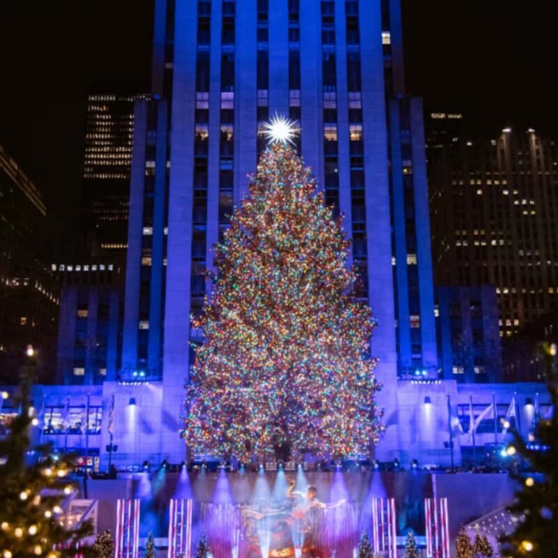 New York City: Merry Manhattan Christmas Lights Holiday Tour - What’s Included and What’s Not