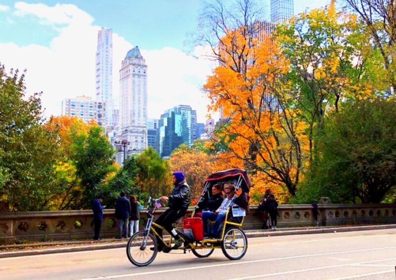 New York City: Pedicab Tour Through Central Park - What Are the Downsides?