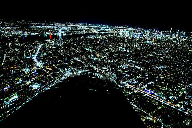 New York City Private Tour by Plane at Night - Who Is This Tour Best For?