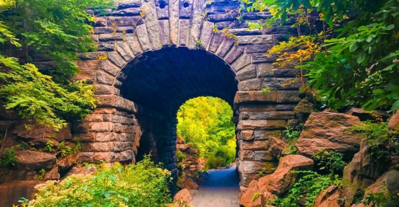 New York City: Secret Places of Central Park Walking Tour - The Practical Side: What You Get and What You Need