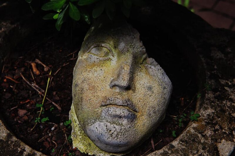 New York City: The Garden Photo Tour - Key Points