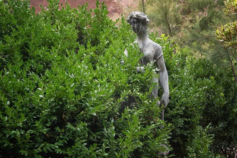 New York City: The Garden Photo Tour - What to Expect During the Tour