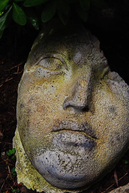 New York City: The Garden Photo Tour - Pricing and Value