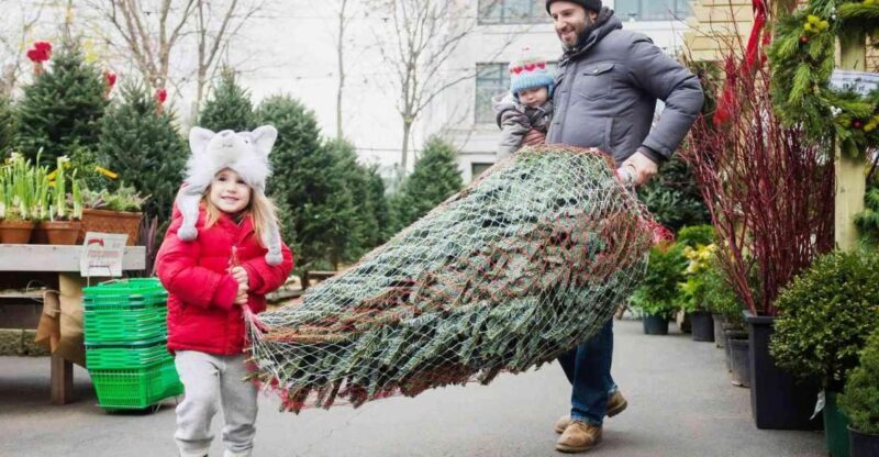 New York Citys Private Iconic Christmas Tour - Key Points