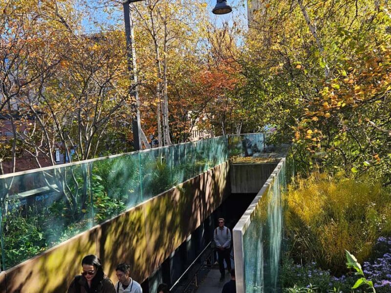 New York: High Line, Chelsea Market, and Vessel Guided Tour - What to Expect and Practical Tips