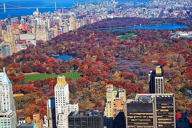 New York Tour by Subway and Bus with Private Guide - Who Is This Tour Best Suited For?