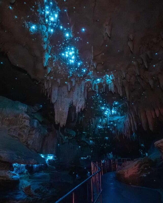 New Zealand: Milky Way Glowworm Cave Tour - Key Points