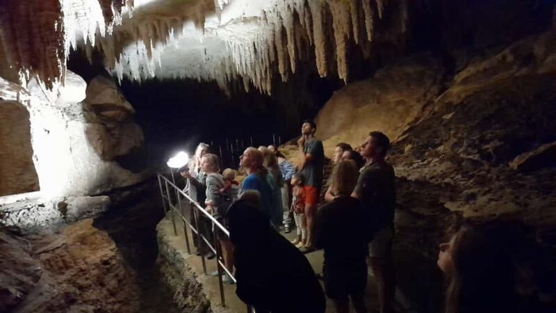 New Zealand: Milky Way Glowworm Cave Tour - An Introduction to the Glowworm Cave Experience