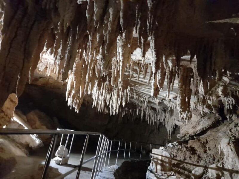 New Zealand: Milky Way Glowworm Cave Tour - The Pros and Cons