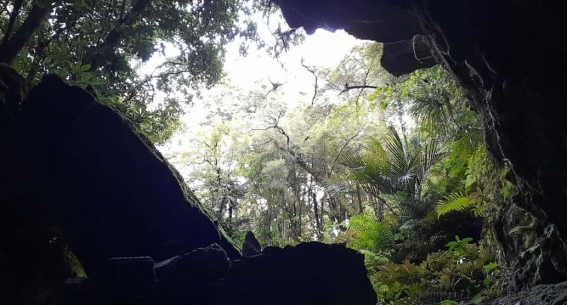 New Zealand: Milky Way Glowworm Cave Tour - Final Thoughts