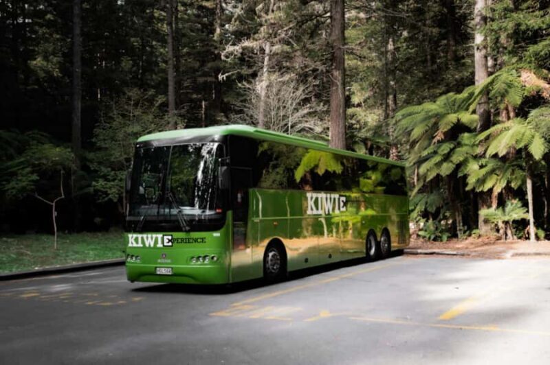 New Zealand: National Hop-On Hop-Off Pass - Key Points