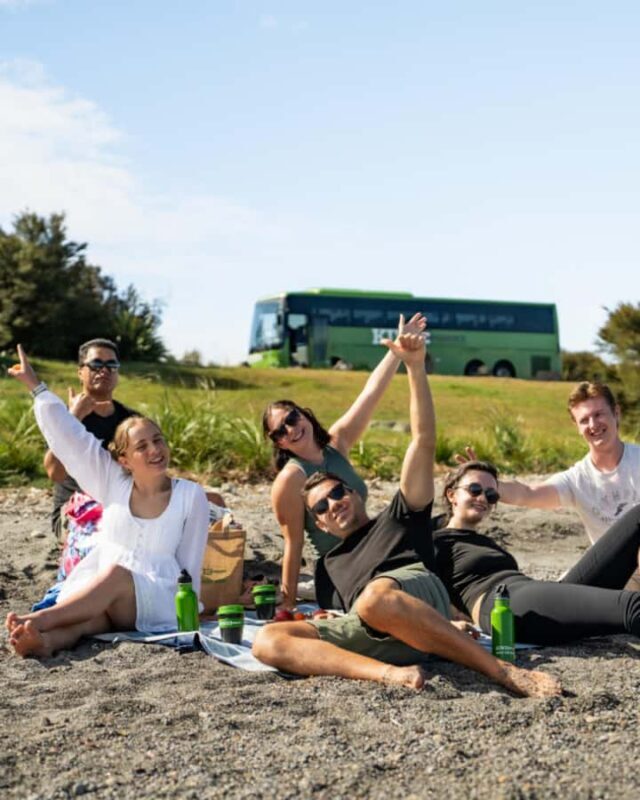 New Zealand: National Hop-On Hop-Off Pass - Who Will Love This Tour?