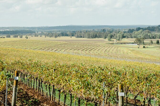 Newcastle: Private Hunter Valley Wine Tour - Final Thoughts