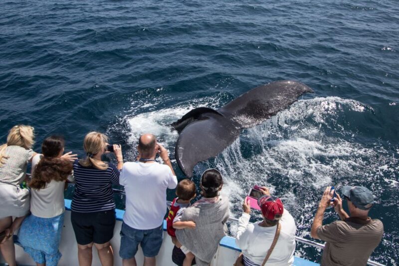Newport Beach: Year-Round Whale Watching Cruise - Final Thoughts