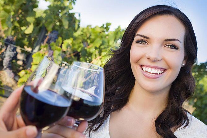 Niagara Buffalo Airport Departure: Private Transfer to Buffalo Niagara Airport - The Bottom Line