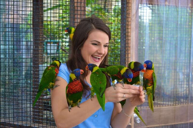 Niagara Falls, Canada: Bird Kingdom Entry Ticket - The Experience’s Value for Money