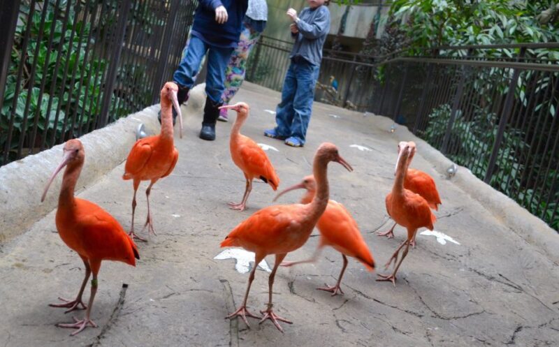 Niagara Falls, Canada: Bird Kingdom Entry Ticket - Who Should Visit?