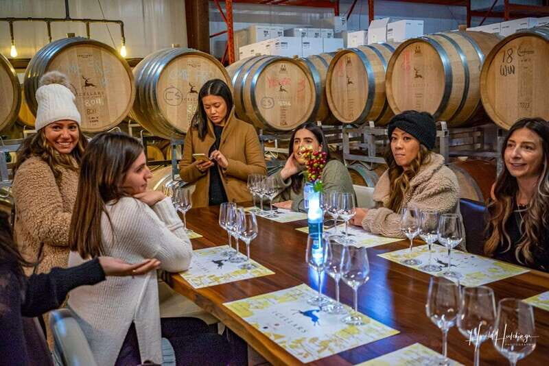 Niagara Falls, Canada: Escarpment Boutique Wine Tour - An In-Depth Look at the Niagara Escarpment Boutique Wine Tour