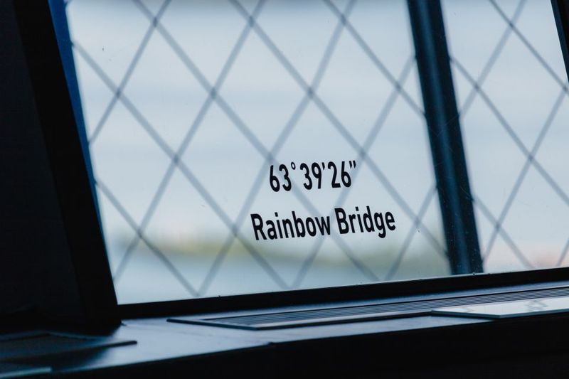 Niagara Falls, Canada: Skylon Tower Observation Deck Ticket - Views to Aim For: What to Look At Once You’re Up There