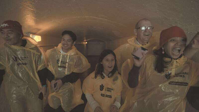 Niagara Falls: Day & Night Tour with Boat Ride and Dinner - Key Points