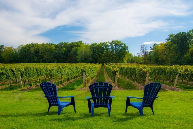 Niagara Falls Day Tour from Toronto (9 Hours) - The Experience in Detail