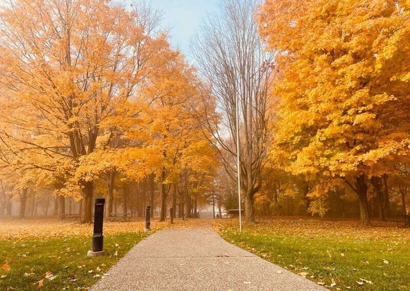 Niagara Falls: Luxury Private Tour with Winery stop - Final Thoughts