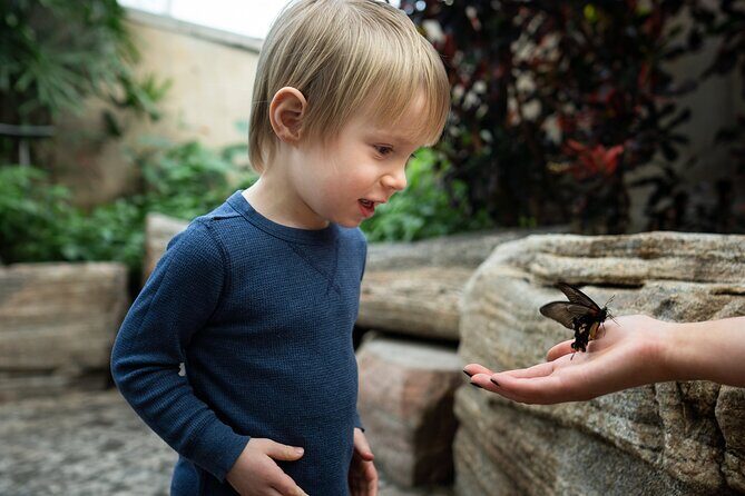 Niagara Falls Pass: 5 Iconic Attractions, WEGO Bus & Audio Guide - Who Is This Tour Ideal For?