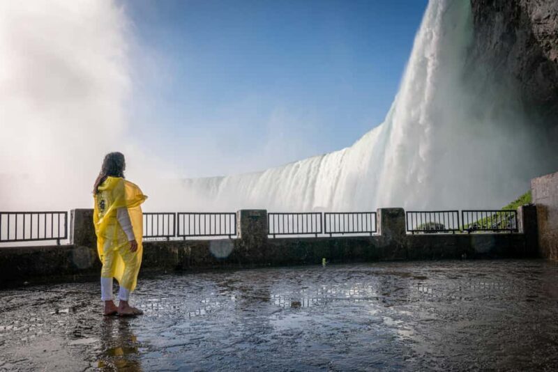 Niagara Falls Tour with Skip the Line Cruise & Maple Tasting - Key Points