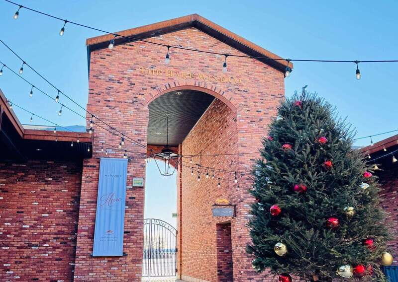 Niagara Falls Tour with Skip the Line Cruise - The Full Scoop on the Niagara Falls Tour