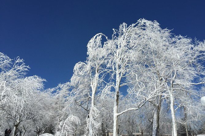 Niagara Falls Winter Wonderland USA Tour (small groups) - Frequently Asked Questions