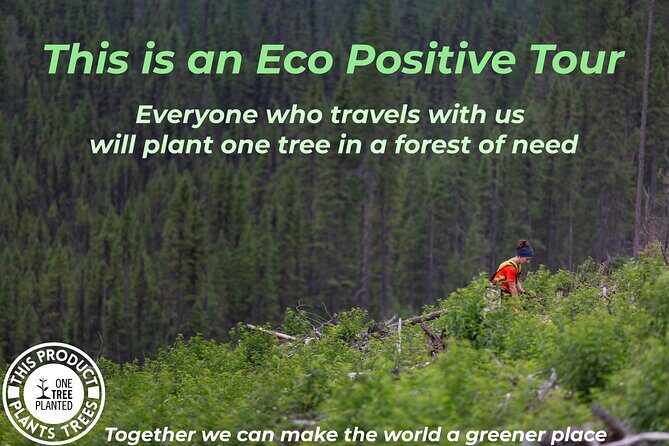 Niagara Falls with Outlet Shopping, 2-Day Tour from NYC - The Itinerary: What You Can Expect