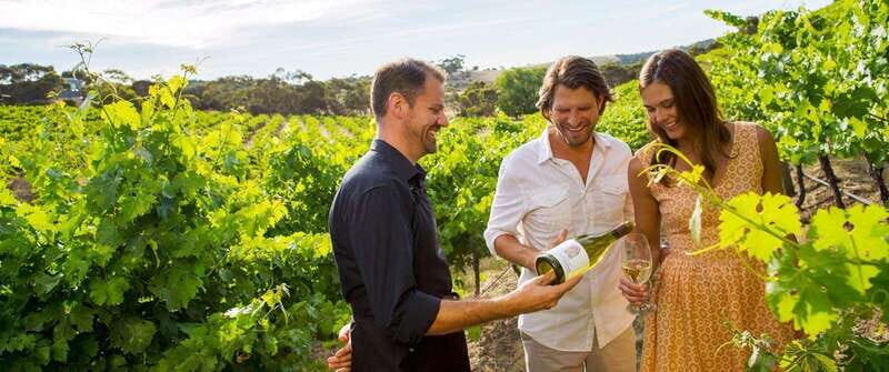 Niagara-on-the-Lake: Wine Tour with Tastings and Lunch - What to Expect from the Niagara-on-the-Lake Wine Tour