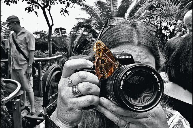 Niagara Peninsula: a Smartphone Audio Driving Tour - Whos This Tour Best For?