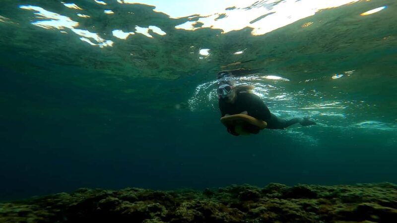 Nice, Beaulieu Sur Mer: Sea Scooter Snorkeling Tour - The Experience: Why it’s worth it