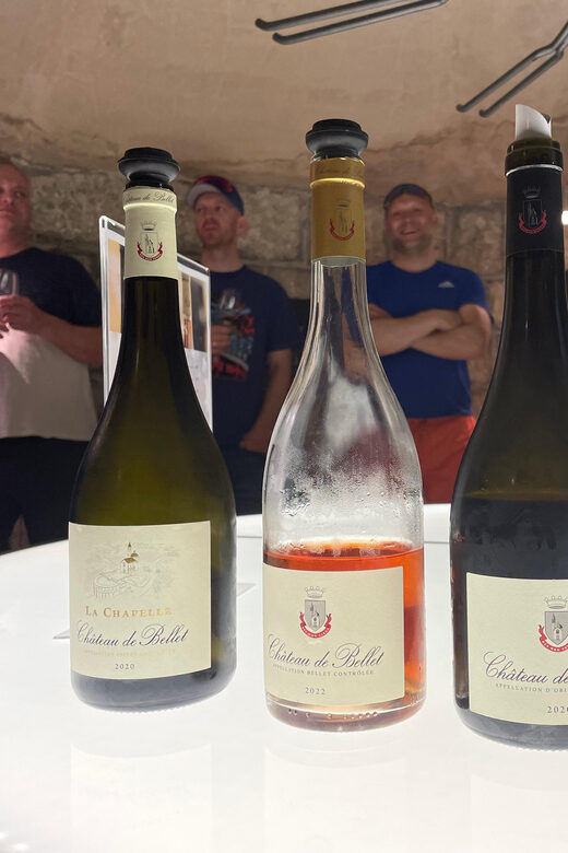 Nice: Bellet Vineyards E-Bike Tour with Wine Tasting - Key Points