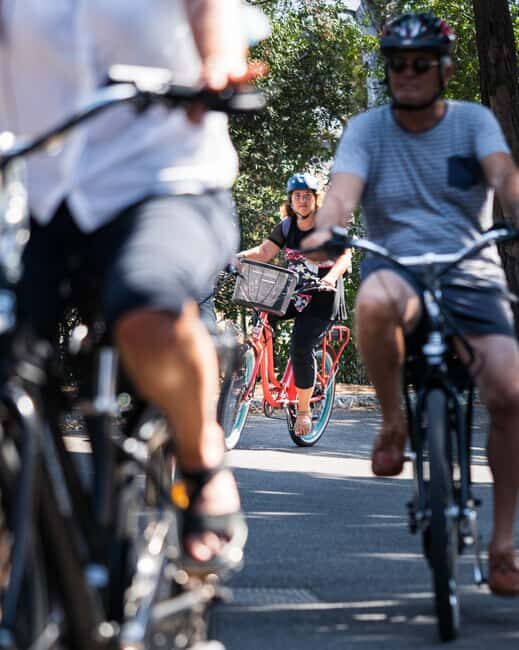 Nice: Bellet Vineyards E-Bike Tour with Wine Tasting - An Overview of the Tour