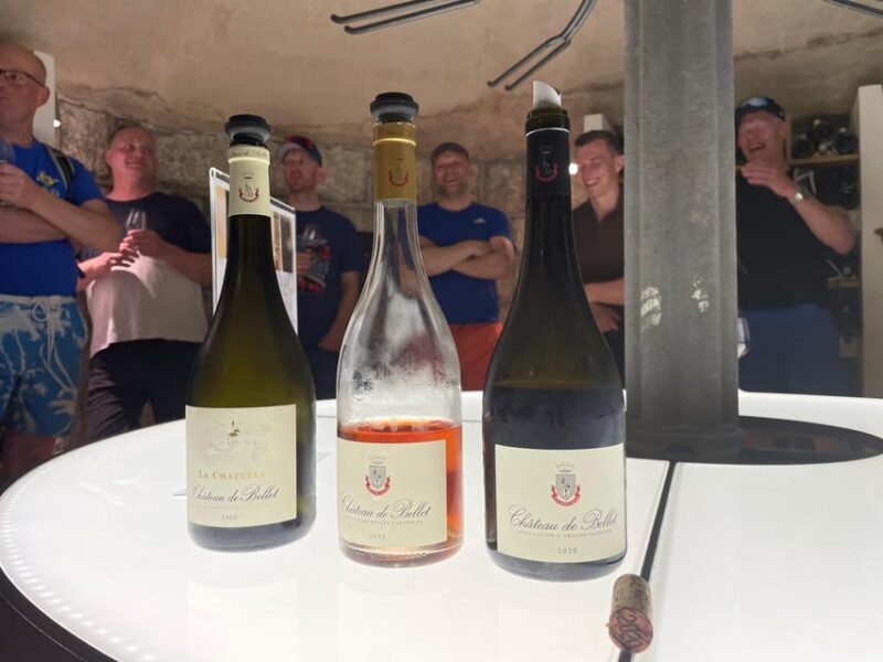 Nice: Bellet Vineyards E-Bike Tour with Wine Tasting - The Sum Up