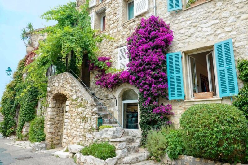 Nice: Cannes, Antibes & St Paul de Vence Half-Day Tour - Who is This Tour Best Suited For?