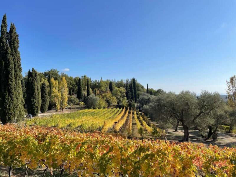 Nice: Full-Day Côtes de Provence Wine Tour - Introduction: Why Consider This Wine Tour?